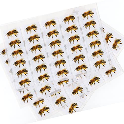 480 x Aufkleber - Biene (38 x 21 mm). Hochwertige selbstklebende Etiketten mit Tiermotiv von Zooify. von Zooify