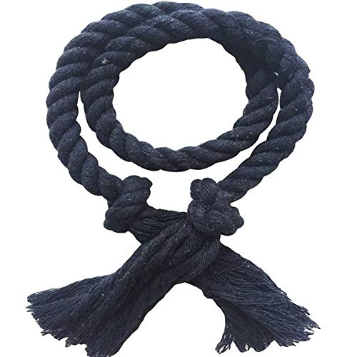 Zpengtai Vorhang Raffhalter 2 Teile/Set Home Vorhang Schnallen Krawatten Seil Vollfarbige Vorhang Raffrasse Halter Clips Seil Home Decor Vorhang Dekoratives Zubehör Gardinenhalter(1 Blue) von Zpengtai
