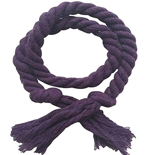 Zpengtai Vorhang Raffhalter 2 Teile/Set Home Vorhang Schnallen Krawatten Seil Vollfarbige Vorhang Raffrasse Halter Clips Seil Home Decor Vorhang Dekoratives Zubehör Gardinenhalter(Purple) von Zpengtai