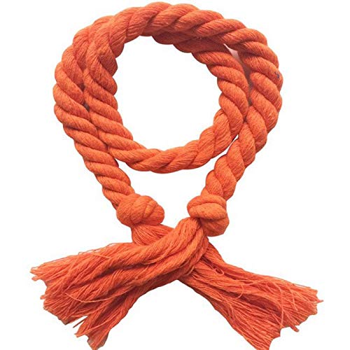 Zpengtai Vorhang Raffhalter 2 stücke/Satz Vorhang Schnallen Krawatte Seil Vorhang Raffinerie Halter Clips Seil Home Decor Vorhang Home Dekorative Zubehör Feste Farbe Gardinenhalter(08) von Zpengtai