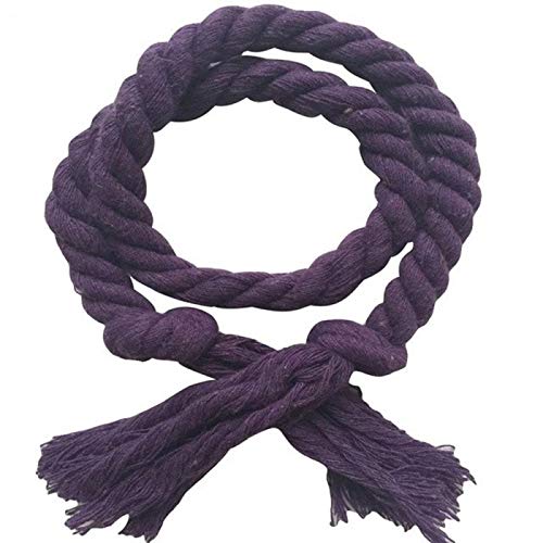 Zpengtai Vorhang Raffhalter 2 stücke/Satz Vorhang Schnallen Krawatte Seil Vorhang Raffinerie Halter Clips Seil Home Decor Vorhang Home Dekorative Zubehör Feste Farbe Gardinenhalter(09) von Zpengtai