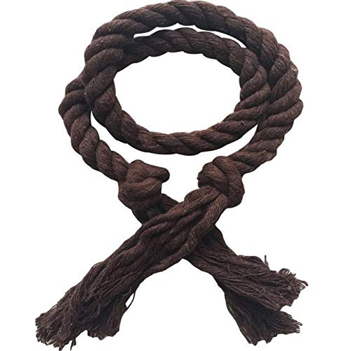 Zpengtai Vorhang Raffhalter 2 stücke/Satz Vorhang Schnallen Krawatte Seil Vorhang Raffinerie Halter Clips Seil Home Decor Vorhang Home Dekorative Zubehör Feste Farbe Gardinenhalter(11) von Zpengtai