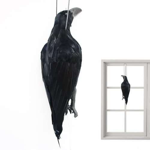 Zqkimzi Halloween Schwarze Krähen | Gruselige Gartenvögel Jagdattrappe,Vogel Deko Für Halloween Horrorhaus Terrassendekoration Zqkimzi Halloween Schwarze Krähen | Gruselige Gartenvögel Jagdattrappe,Vogel Deko Für Halloween Horrorhaus Terrassendekoration von Zqkimzi