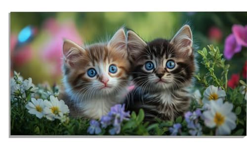 Malen Nach Zahlen Erwachsene Katze, Blume Malen Nach Zahlen Erwachsene Groß XXL 100x200cm, DIY Handgemalt Ölgemälde Kit mit Pinseln und Acrylfarbe für Zimmer Deko Aesthetic, Geschenke für Frauen -1010 Malen Nach Zahlen Erwachsene Katze, Blume Malen Nach Zahlen Erwachsene Groß XXL 100x200cm, DIY Handgemalt Ölgemälde Kit mit Pinseln und Acrylfarbe für Zimmer Deko Aesthetic, Geschenke für Frauen -1010 von Zsccvzlu