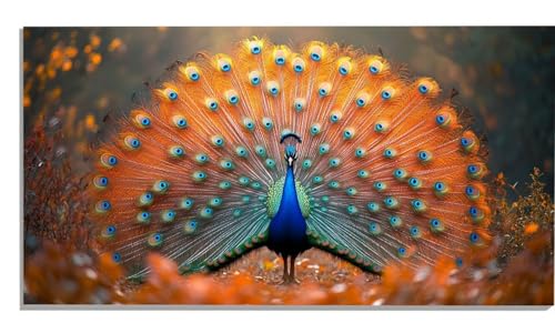 Malen Nach Zahlen Erwachsene Pfau, Tier Malen Nach Zahlen Erwachsene Groß XXL 35x70cm, DIY Handgemalt Ölgemälde Kit mit Pinseln und Acrylfarbe für Zimmer Deko Aesthetic, Geschenke für Frauen -1693 Malen Nach Zahlen Erwachsene Pfau, Tier Malen Nach Zahlen Erwachsene Groß XXL 35x70cm, DIY Handgemalt Ölgemälde Kit mit Pinseln und Acrylfarbe für Zimmer Deko Aesthetic, Geschenke für Frauen -1693 von Zsccvzlu