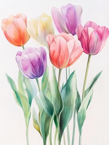 Tulpe Malen nach Zahlen Erwachsene mit Rahmen 60X80CM, Malen Nach Zahlen Kinder Blume Malen nach Zahlen ab 9 Jahre Mädchen, DIY Set Erwachsene Ölgemälde mit Leinwand und Acrylfarben für Zimmer Deko Tulpe Malen nach Zahlen Erwachsene mit Rahmen 60X80CM, Malen Nach Zahlen Kinder Blume Malen nach Zahlen ab 9 Jahre Mädchen, DIY Set Erwachsene Ölgemälde mit Leinwand und Acrylfarben für Zimmer Deko von Zsccvzlu