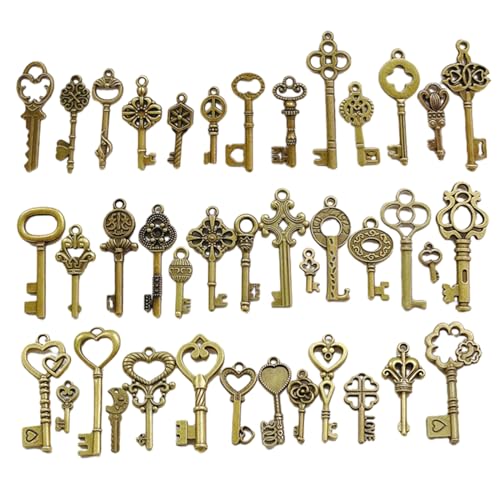 Zulbceo 40 Stück Vintage Bronze Skelettschlüssel, Antike Skeleton Keys Charms DIY Kits, große antike Bronze Skelett Schlüssel für Hochzeit Dekoration gefallen, Halskette Anhänger von Zulbceo
