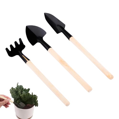 min Gartenwerkzeug-Set für den Innenbereich | Sukkulenten Werkzeuge Set | Rechen, Schaufel, Zange für Kakteen & Terrarien, perfekt für die Pflege von kleinen Pflanzen, Präzisionsarbeiten & Dekoration min Gartenwerkzeug-Set für den Innenbereich | Sukkulenten Werkzeuge Set | Rechen, Schaufel, Zange für Kakteen & Terrarien, perfekt für die Pflege von kleinen Pflanzen, Präzisionsarbeiten & Dekoration von Zunishaone