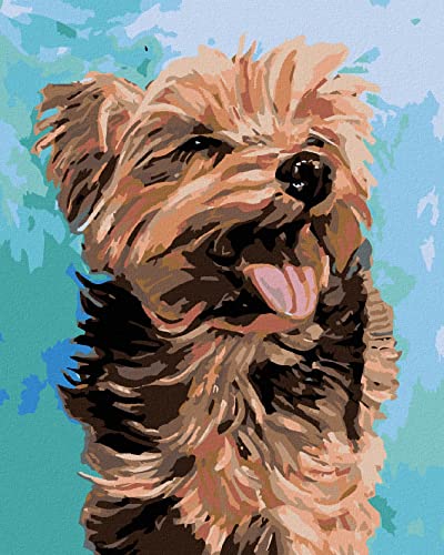 Zuty 1017210, Malen nach Zahlen-FRÖHLICHER Yorkshire 40x50 cm ohne Keilrahmen Zuty 1017210, Malen nach Zahlen-FRÖHLICHER Yorkshire 40x50 cm ohne Keilrahmen von Zuty