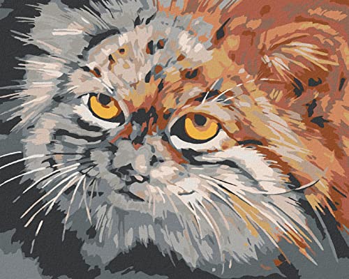 Zuty 1067170, Malen nach Zahlen-GRAUBRAUNE Katze 40x50 cm ohne Keilrahmen Zuty 1067170, Malen nach Zahlen-GRAUBRAUNE Katze 40x50 cm ohne Keilrahmen von Zuty