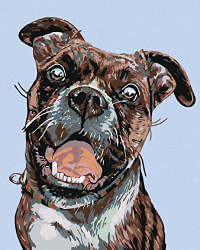 Zuty 1084220, Malen nach Zahlen-Alter BEIßHUND 40x50 cm ohne Keilrahmen Zuty 1084220, Malen nach Zahlen-Alter BEIßHUND 40x50 cm ohne Keilrahmen von ZUTY