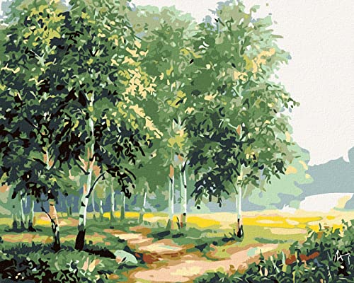 Zuty 2055221, Malen nach Zahlen-BIRKEN AM Weg 40x50 cm mit Keilrahmen (bereits gespannt) von Zuty