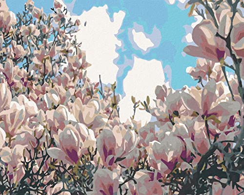 Zuty 2118232, Malen nach Zahlen-BLÜHENDE Magnolie 80x100 cm ohne Keilrahmen Zuty 2118232, Malen nach Zahlen-BLÜHENDE Magnolie 80x100 cm ohne Keilrahmen von Zuty