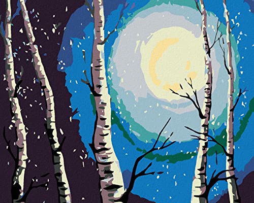 Zuty 624160, Malen nach Zahlen-BIRKEN, MOND UND FALLENDER Schnee 40x50 cm ohne Keilrahmen Zuty 624160, Malen nach Zahlen-BIRKEN, MOND UND FALLENDER Schnee 40x50 cm ohne Keilrahmen von Zuty