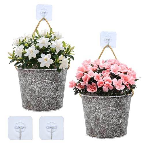Zuxbolf 2 Stücke Hängende Blumentöpfe Metall Vintage Blumenkorb Hängeampel mit Juteseil & Klebehaken für Wanddekoration Halbrunde Blumenampel Hängetopf für Balkon Garten Wohnzimmer(14 * 13.5cm) Zuxbolf 2 Stücke Hängende Blumentöpfe Metall Vintage Blumenkorb Hängeampel mit Juteseil & Klebehaken für Wanddekoration Halbrunde Blumenampel Hängetopf für Balkon Garten Wohnzimmer(14 * 13.5cm) von Zuxbolf