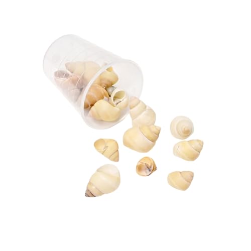 15 g leichte Muschel-Bastelmaterialien, Muschelperlen, natürliches Muschel-Bastelset für handgefertigten Schmuck und Dekorationen, natürliche Muscheln zur Schmuckherstellung 15 g leichte Muschel-Bastelmaterialien, Muschelperlen, natürliches Muschel-Bastelset für handgefertigten Schmuck und Dekorationen, natürliche Muscheln zur Schmuckherstellung von ZwaitL