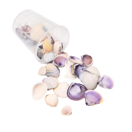 15 g leichte Muschel-Bastelmaterialien, Muschelperlen, natürliches Muschel-Bastelset für handgefertigten Schmuck und Dekorationen, natürliche Muscheln zur Schmuckherstellung 15 g leichte Muschel-Bastelmaterialien, Muschelperlen, natürliches Muschel-Bastelset für handgefertigten Schmuck und Dekorationen, natürliche Muscheln zur Schmuckherstellung von ZwaitL