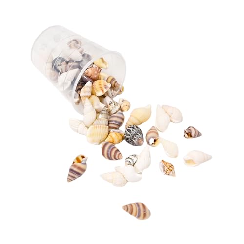 15 g leichte Muschel-Bastelmaterialien, Muschelperlen, natürliches Muschel-Bastelset für handgefertigten Schmuck und Dekorationen, natürliche Muscheln zur Schmuckherstellung 15 g leichte Muschel-Bastelmaterialien, Muschelperlen, natürliches Muschel-Bastelset für handgefertigten Schmuck und Dekorationen, natürliche Muscheln zur Schmuckherstellung von ZwaitL