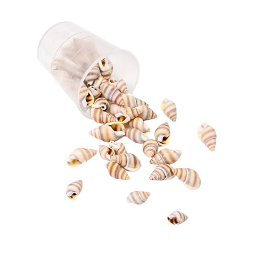 15 g leichte Muschel-Bastelmaterialien, Muschelperlen, natürliches Muschel-Bastelset für handgefertigten Schmuck und Dekorationen, natürliche Muscheln zur Schmuckherstellung von ZwaitL