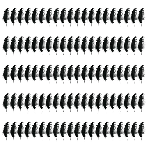 ZwaitL 100 Stück schwarze Flügel natürliche Handwerk Flügel Dekoration für Kunst Handwerk Hochzeit Dekoration Halloween Zubehör Kunst und Handwerk ZwaitL 100 Stück schwarze Flügel natürliche Handwerk Flügel Dekoration für Kunst Handwerk Hochzeit Dekoration Halloween Zubehör Kunst und Handwerk von ZwaitL