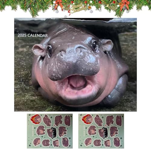 Zyntora Niedlicher Wandkalender, Tierkalender 2025 – mit 2 Bögen Aufklebern, -Druck, Planer, Heimdekoration für Erwachsene, Studenten, Freunde, Jugendliche Zyntora Niedlicher Wandkalender, Tierkalender 2025 – mit 2 Bögen Aufklebern, -Druck, Planer, Heimdekoration für Erwachsene, Studenten, Freunde, Jugendliche von Zyntora