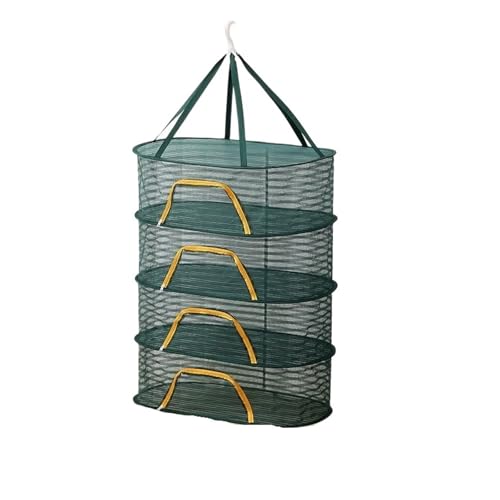 Faltbares Trockennetz for Lebensmittel, Anti-Mücken-Trockengestell, Hängekorb, Kräuter-Trockennetz for Blumen, Knospen, Pflanzen, Gemüse, Obst, Organizer für Wohnungen, Wäscherei(Green 4 Layer-M) Faltbares Trockennetz for Lebensmittel, Anti-Mücken-Trockengestell, Hängekorb, Kräuter-Trockennetz for Blumen, Knospen, Pflanzen, Gemüse, Obst, Organizer für Wohnungen, Wäscherei(Green 4 Layer-M) von ZythrXLate