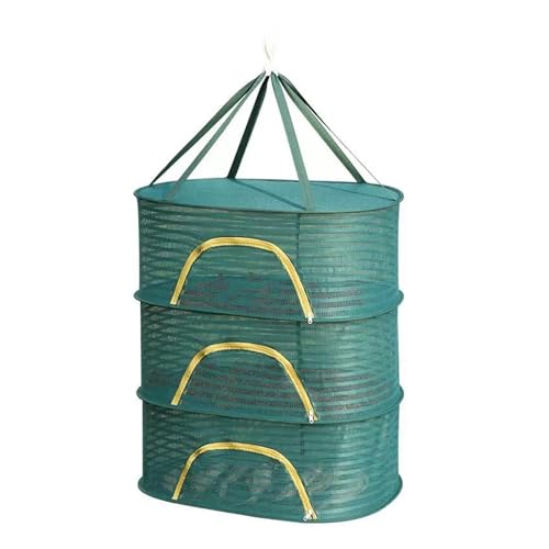 Faltbares Trockennetz for Trocknen von Fischen, Gemüse, Fischen, Hängen, Trockengestell, Netz, 1–3 Schichten, for Trocknen von Kleidung, Lagergestell, Trockennetz für Wohnungen, Wäscherei(Green -3 lay Faltbares Trockennetz for Trocknen von Fischen, Gemüse, Fischen, Hängen, Trockengestell, Netz, 1–3 Schichten, for Trocknen von Kleidung, Lagergestell, Trockennetz für Wohnungen, Wäscherei(Green -3 lay von ZythrXLate