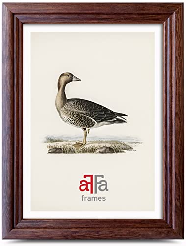 aFFa frames Retro Holz Bilderrahmen Elegant Stilvoll Klassisches Design Geeignet für Bilder Fotos Diplome Abschlusszeugnisse 15x21 cm Farbe Braun von aFFa frames