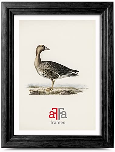 aFFa frames Retro Holz Bilderrahmen Elegant Stilvoll Klassisches Design Geeignet für Bilder Fotos Diplome Abschlusszeugnisse 15x21 cm Farbe Schwarz von aFFa frames