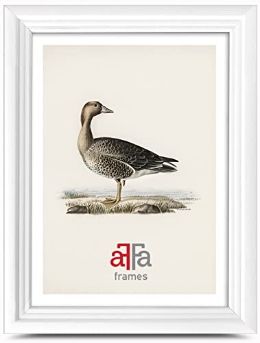 aFFa frames Retro Holz Bilderrahmen Elegant Stilvoll Klassisches Design Geeignet für Bilder Fotos Diplome Abschlusszeugnisse 15x21 cm Farbe Weiß von aFFa frames