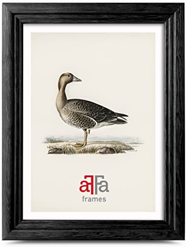 aFFa frames - Retro Bilderrahmen Holz, the frame, holzrahmen für Bilder, Fotos, bilderrahmen 9x13 cm Schwarz aFFa frames - Retro Bilderrahmen Holz, the frame, holzrahmen für Bilder, Fotos, bilderrahmen 9x13 cm Schwarz von aFFa frames