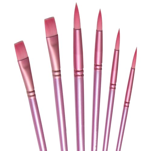 aderroo Acryl-Pinsel-Set, 6-teilig, Aquarellpinsel, Malpinsel, Nylon-Haarbürsten für Allzweck, Öl, Aquarellmalerei, Anfänger-Kits (6, Rosa) von aderroo