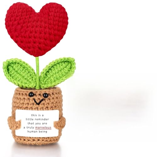 ailov Positive Häkelblume, Wertschätzungsgeschenk für Kollegen, Schwester, Freundin, Lehrer, Dankeschön-Geschenke für Frauen und Männer (eine kleine Erinnerung: Marvelous Human Being) von ailov