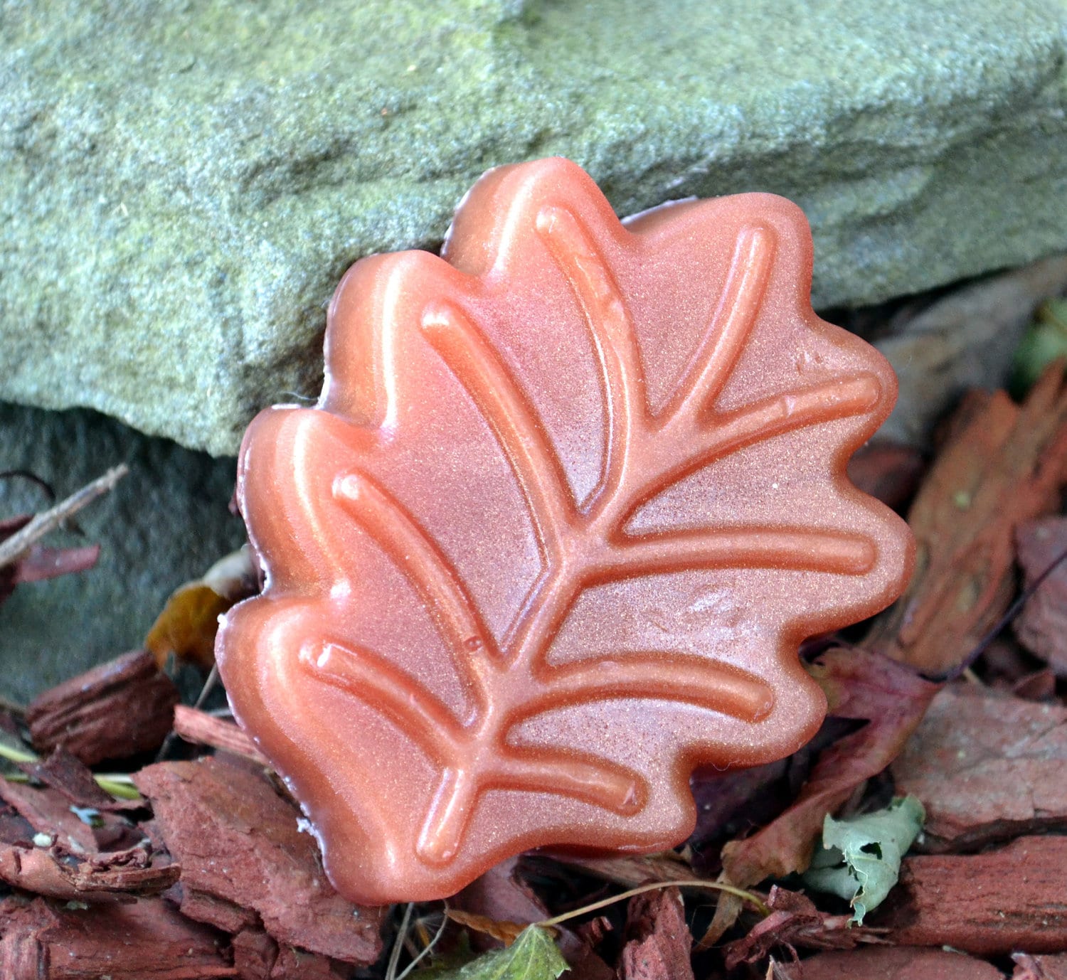 Herbst Schönheit Blatt Seife - Thanksgiving Urlaub Dekor Blätter Vegan von ajsweetsoap