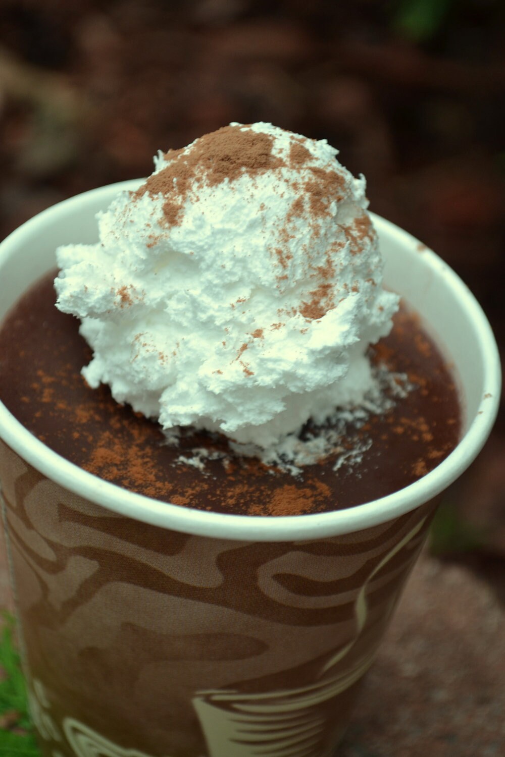 Pfefferminz Mokka Seife - Kaffee Starbucks Urlaubs Exklusiv Unsere Schokoladen Pfefferminze von ajsweetsoap