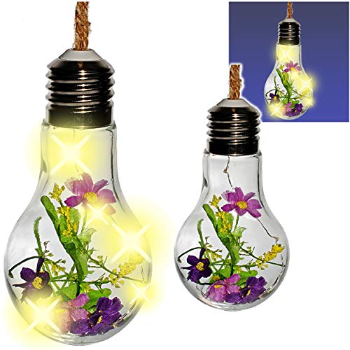 alles-meine.de GmbH 2 Stück LICHT Dekogläser - Glas Glühbirnen - Lichterketten - je 5 Stück LED - Blumen & Blüten - lila violett - zum Hängen/Aufhängen - 38 cm groß - Pflanze.. alles-meine.de GmbH 2 Stück LICHT Dekogläser - Glas Glühbirnen - Lichterketten - je 5 Stück LED - Blumen & Blüten - lila violett - zum Hängen/Aufhängen - 38 cm groß - Pflanze.. von alles-meine.de GmbH