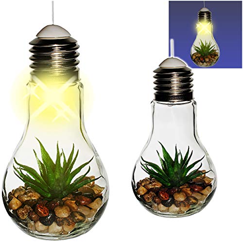 alles-meine.de GmbH 2 Stück LICHT Dekogläser - Glas Glühbirnen - Lichterketten - je LED - Blumen & Blüten - Sukkulente Aloe Vera - zum Hängen/Aufhängen - 68 cm groß - Pflanze.. alles-meine.de GmbH 2 Stück LICHT Dekogläser - Glas Glühbirnen - Lichterketten - je LED - Blumen & Blüten - Sukkulente Aloe Vera - zum Hängen/Aufhängen - 68 cm groß - Pflanze.. von alles-meine.de GmbH