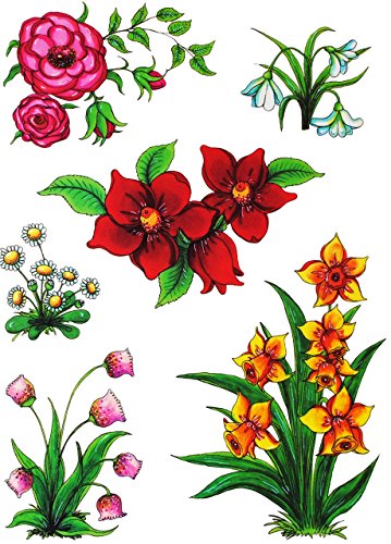 alles-meine.de GmbH 6 TLG. Set Fensterbilder - Pflanzen & Blumen - statisch haftend - selbstklebend + wiederverwendbar/Ostern & Frühling/Sommer - Sticker Fenstersticker.. alles-meine.de GmbH 6 TLG. Set Fensterbilder - Pflanzen & Blumen - statisch haftend - selbstklebend + wiederverwendbar/Ostern & Frühling/Sommer - Sticker Fenstersticker.. von alles-meine.de GmbH