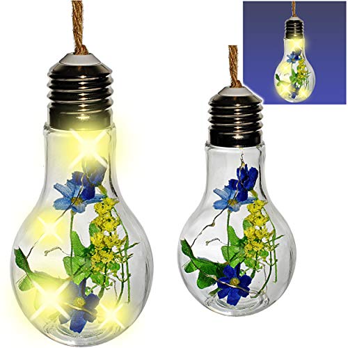 alles-meine.de GmbH LICHT Dekoglas - Glas Glühbirne - Lichterkette - 5 Stück LED - Blumen & Blüten - blau - zum Hängen/Aufhängen - 38 cm groß - Pflanzen - Lichtflasche/Flasch.. von alles-meine.de GmbH