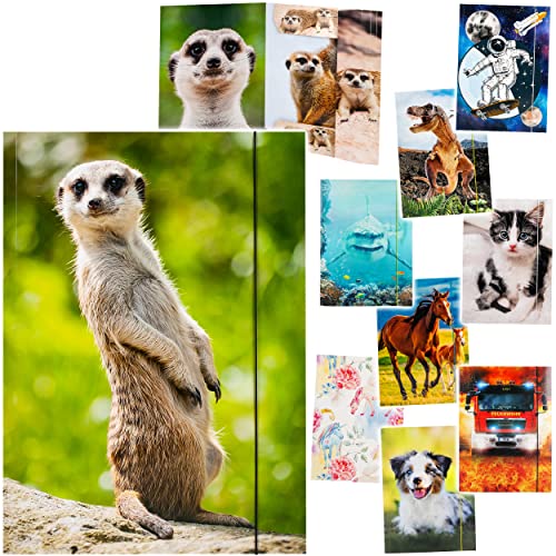 alles-meine.de GmbH XXL 2 Stück A3 - Zeichenmappen/Sammelmappen Motivwahl Motiv-Mix - Ordner - 44 cm - Mappen für Hefte Zeitschriften Zeichnungen - Gummizugmappen/Kin.. alles-meine.de GmbH XXL 2 Stück A3 - Zeichenmappen/Sammelmappen Motivwahl Motiv-Mix - Ordner - 44 cm - Mappen für Hefte Zeitschriften Zeichnungen - Gummizugmappen/Kin.. von alles-meine.de GmbH