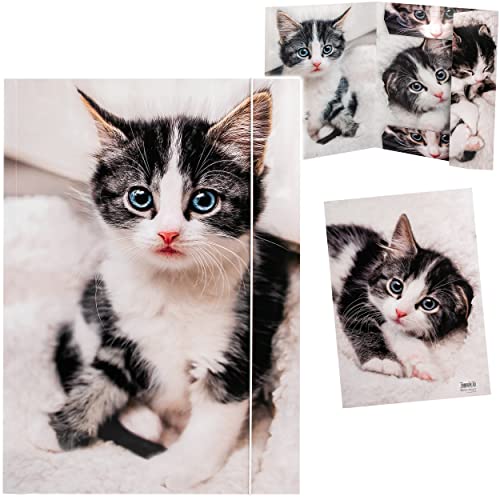alles-meine.de GmbH XXL A3 - Zeichenmappe/Sammelmappe Motivwahl süße Katze - Ordner - 44 cm - Mappe für Hefte Zeitschriften Zeichnungen - Gummizugmappe/Kinder Erwachsen.. alles-meine.de GmbH XXL A3 - Zeichenmappe/Sammelmappe Motivwahl süße Katze - Ordner - 44 cm - Mappe für Hefte Zeitschriften Zeichnungen - Gummizugmappe/Kinder Erwachsen.. von alles-meine.de GmbH