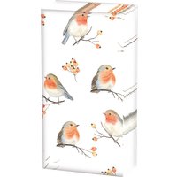 Papiertaschentücher "Robin Family" von ambiente