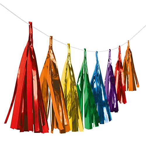 Amscan 9904614 - Fransengirlande Bright Rainbow, Länge 3 m, Hängedekoration, Geburtstag, Mottoparty, Karneval von amscan