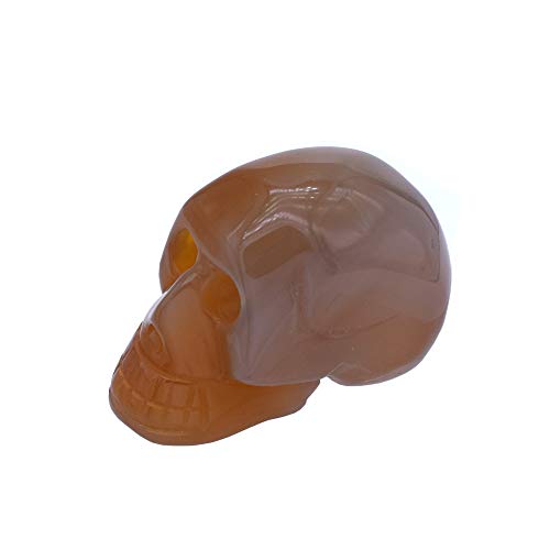 aqasha Kristallschädel Brauner Achat aqasha Kristallschädel Brauner Achat von aqasha