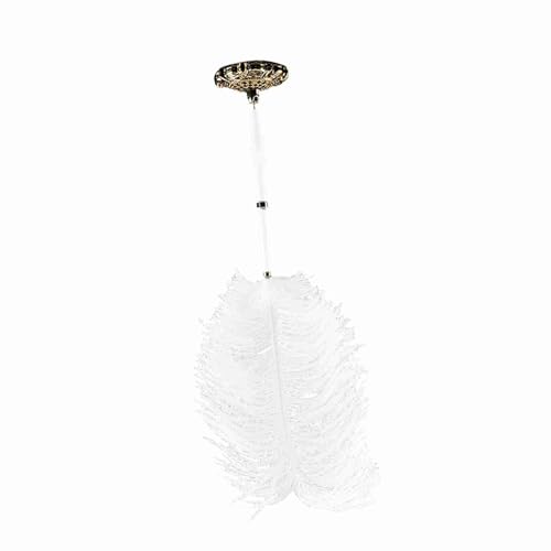 aqxreight 2 Farben Strauß Feather Hochzeits Quill Signing Kugelschreiber Stift mit Metallhalter Neu (GOLD) von aqxreight