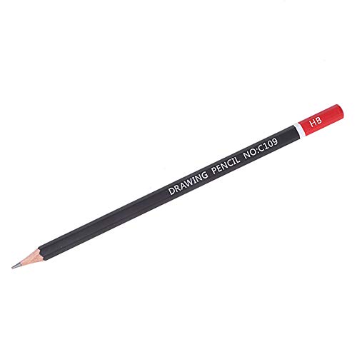aqxreight Holzkohlestift Set Professionelle Kunstzeichnung Skizze Stifte Briefpapier Bleistift. Und. Qualität. lang. Satz. hoch. Beißen .. Holz. Du. Erweichen. schärfen. niemals. (Hb) von aqxreight