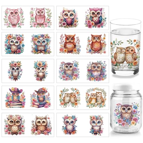 arricraft 10 Blatt UV DTF Becherfolie Mit Eulenmotiv Für 16 Unzen Gläser Blumen Bücher Vögel Abziehbilder Zum Aufreiben Tiermotiv PVC Transferaufkleber Für Selbstgemachte Tassen Flaschen arricraft 10 Blatt UV DTF Becherfolie Mit Eulenmotiv Für 16 Unzen Gläser Blumen Bücher Vögel Abziehbilder Zum Aufreiben Tiermotiv PVC Transferaufkleber Für Selbstgemachte Tassen Flaschen von arricraft