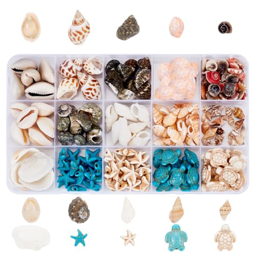 arricraft 15 Stile Muschel Perlen, Ozean-Themen-Perlen-Set, Natürliche Muschelperlen, Spiralmuschelperlen, Seestern, Schildkröte, Gefärbt, Synthetische Türkisfarbene Perlen, Gemischte Formperlen arricraft 15 Stile Muschel Perlen, Ozean-Themen-Perlen-Set, Natürliche Muschelperlen, Spiralmuschelperlen, Seestern, Schildkröte, Gefärbt, Synthetische Türkisfarbene Perlen, Gemischte Formperlen von arricraft