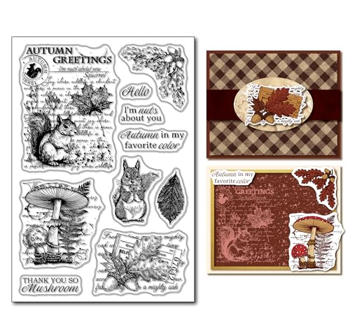 arriettycraft Transparente Stempel für Tagebücher oder Kartenherstellung, Motiv: Herbst-Eichhörnchen, Gummistempel für Tagebücher, Planer, Scrapbooking, Papierbasteln, Dekoration arriettycraft Transparente Stempel für Tagebücher oder Kartenherstellung, Motiv: Herbst-Eichhörnchen, Gummistempel für Tagebücher, Planer, Scrapbooking, Papierbasteln, Dekoration von arriettycraft