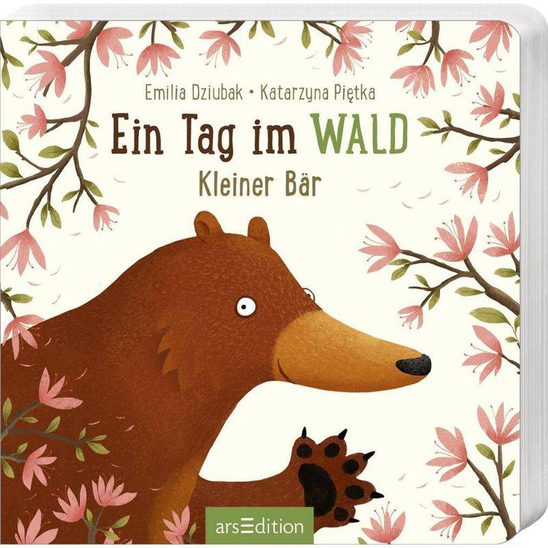 Ein Tag Im Wald: Kleiner Bär, Pappband von ars edition